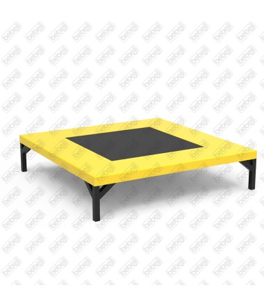 Saugus batutas S0030