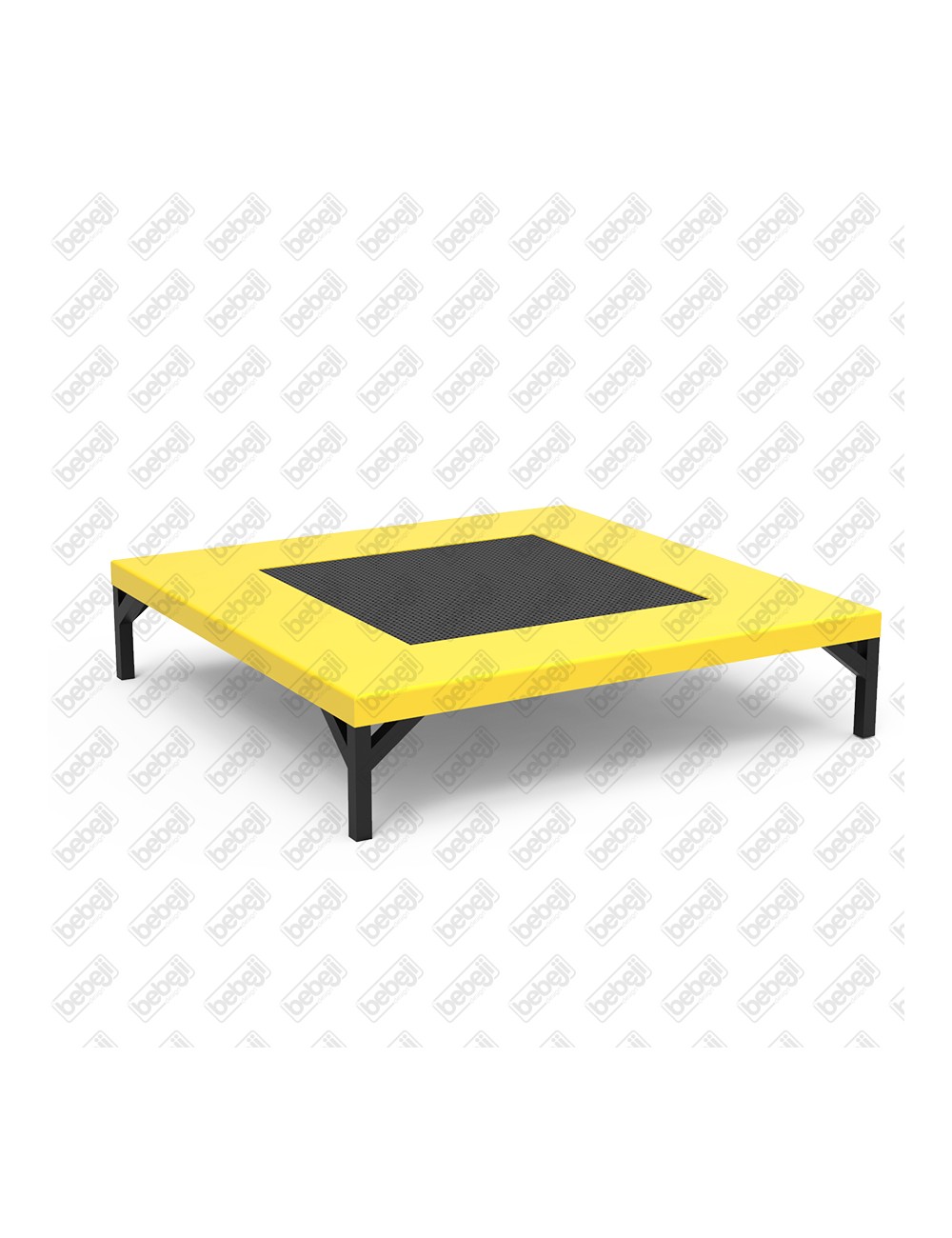 Saugus batutas S0030