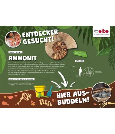 Ženklas Dino plokštei ,,Ammonit"