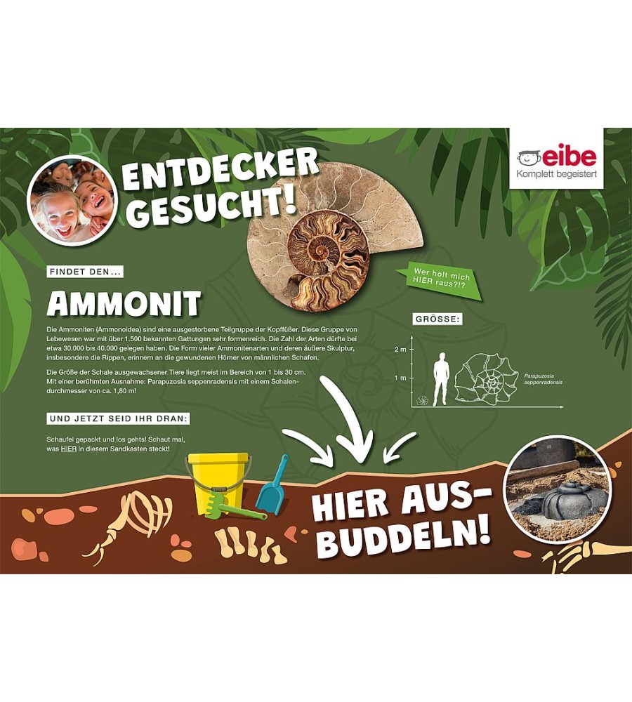 Ženklas Dino plokštei ,,Ammonit"