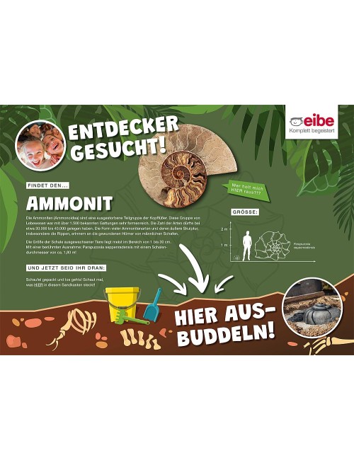 Ženklas Dino plokštei ,,Ammonit"