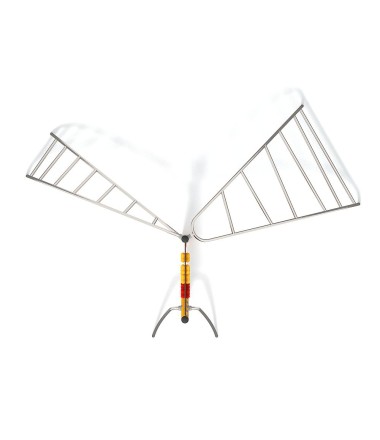 Karstynės-laipynės Altensteinas