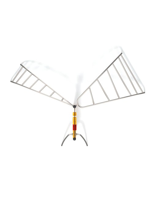 Karstynės-laipynės Altensteinas