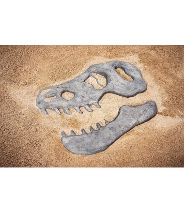 Smėlio aikštelės plokštė Dinozauras T-Rex