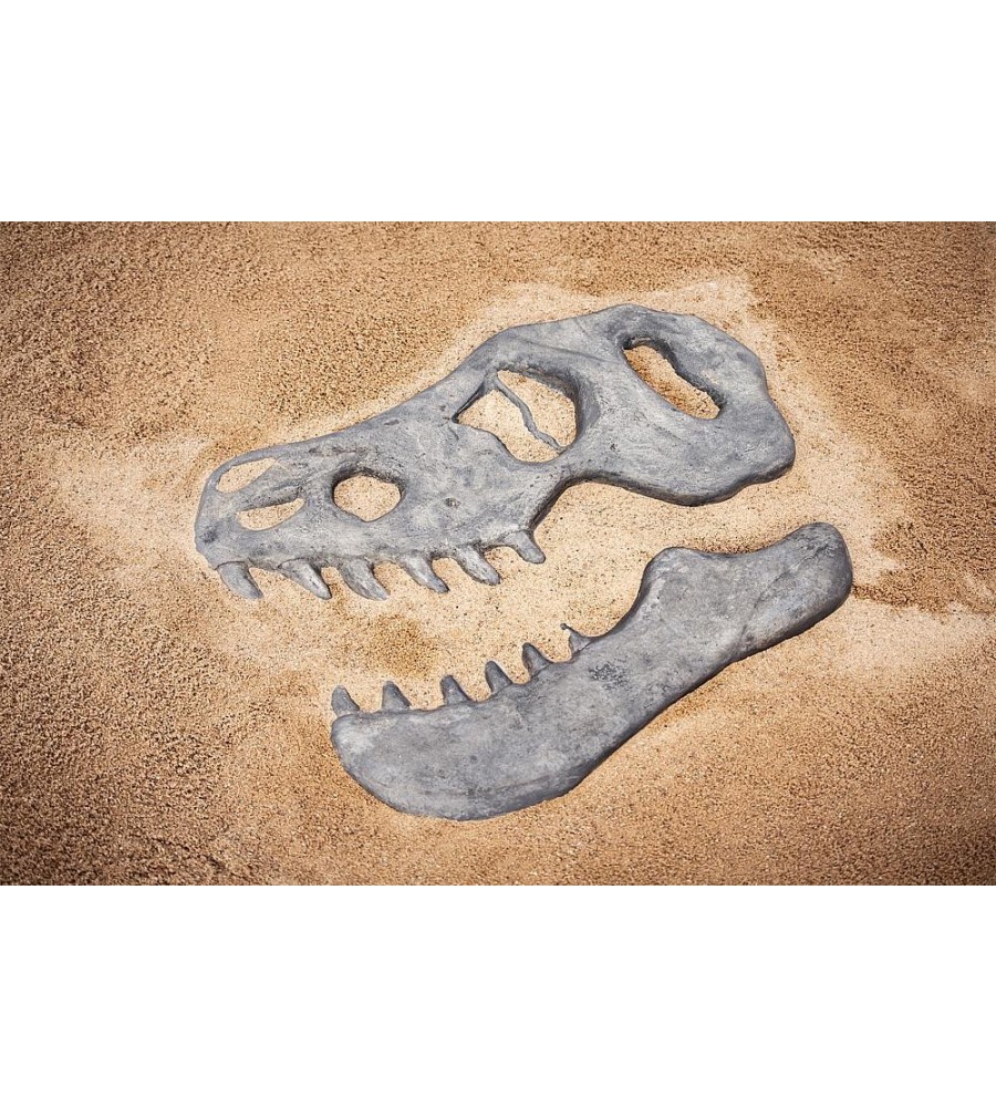 Smėlio aikštelės plokštė Dinozauras T-Rex