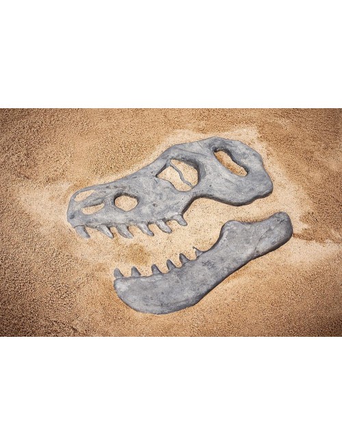 Smėlio aikštelės plokštė Dinozauras T-Rex