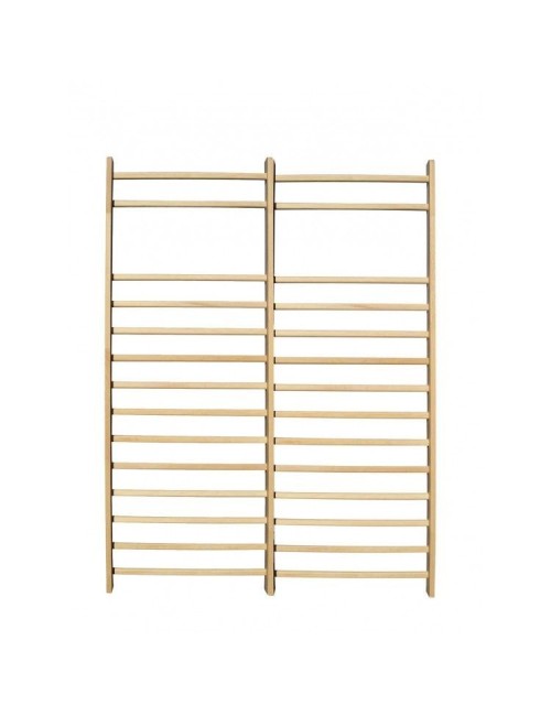 Laipiojimo sienelė su lygiagretėmis