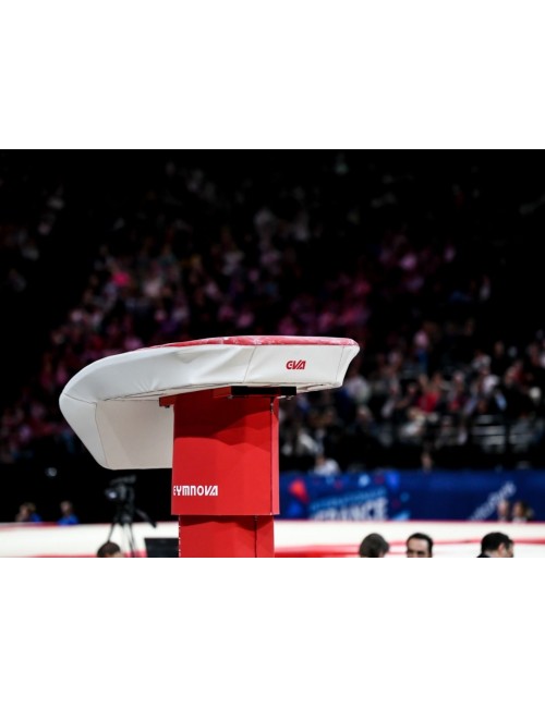 Gimnastikos šokinėjimo stalas su stovu ''Gymnova''