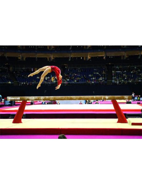 Gimnastikos balansavimo sija ''Gymnova''