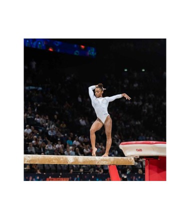Gimnastikos balansavimo sija ''Gymnova''