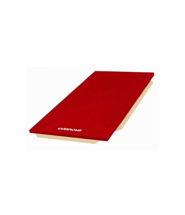 Gimnastikos čiužinys tinkantis mokykloms ''Gymnova''