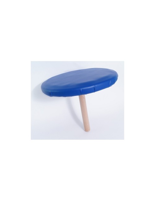 T STOOL  - skirta balansiniams pratimams