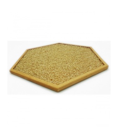 Sensorins takas su stimuliuojančiu paviršiumi