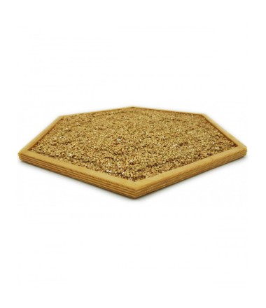 Sensorinis - jutimo takas