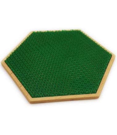 Sensorinis takas ''Žolė''