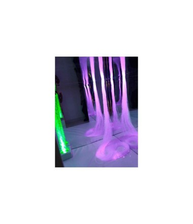 Terapinis - veidrodinis namas