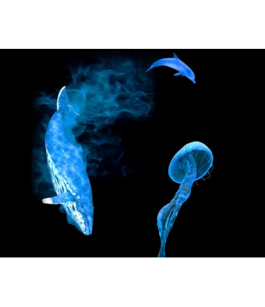 3D Holograma -  42cm.