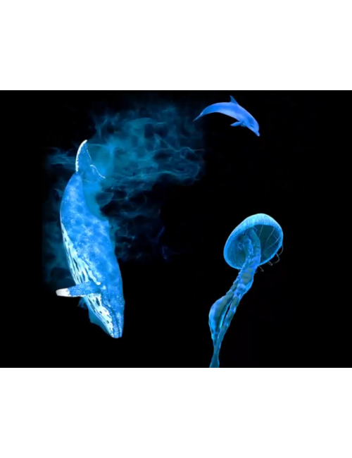 3D Holograma -  42cm.