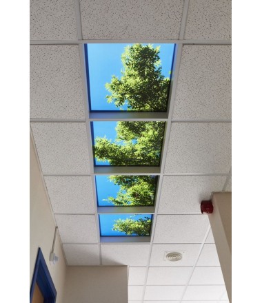 4vnt lubų plytelių rinkinys ''Vasaros Dangus''