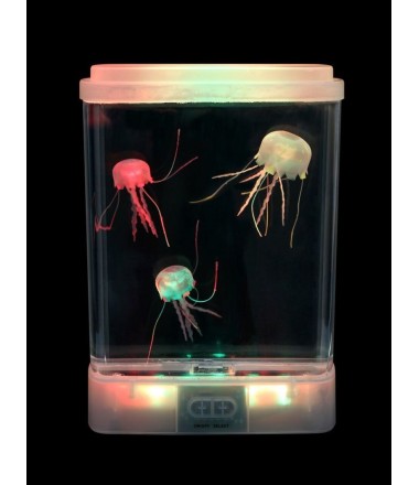 Akvariumas su medūzomis, šviečiantis