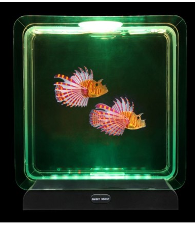 Šviečiantis akvariumas su tropinėmis žuvytėmis
